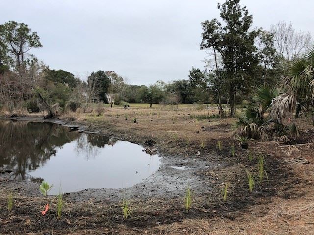 Arthur Street Project