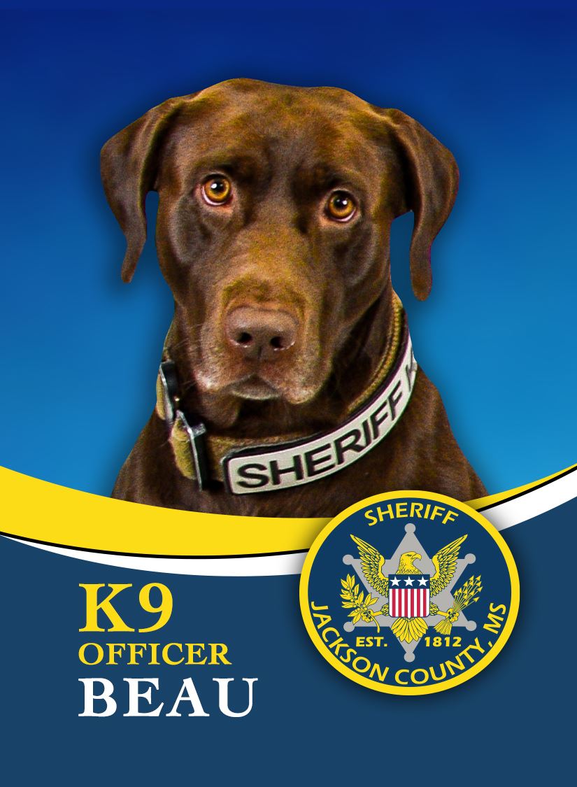K9 Beau