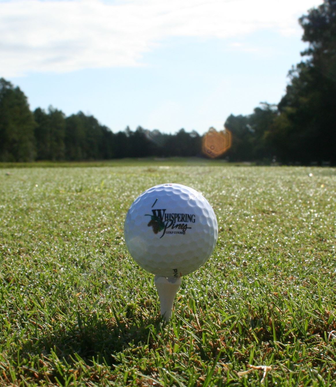 Close up of golf ball on tee